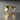 Luna Curve Ring